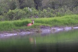 British Columbia